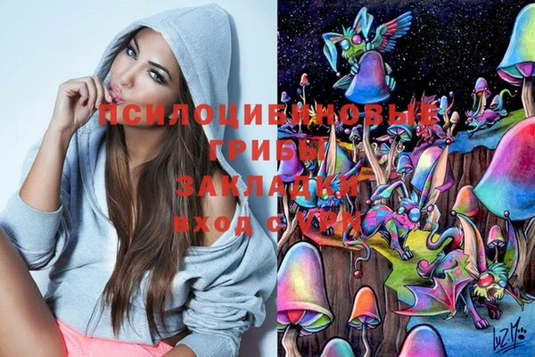 мяу мяу мука Гвардейск