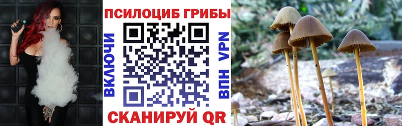 Псилоцибиновые грибы Magic Shrooms  Катайск 